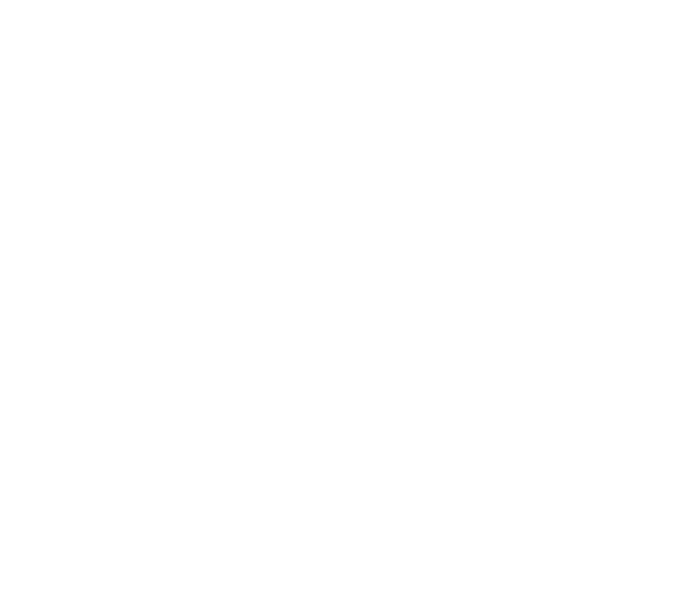 Sportstudio Vilseck Logo